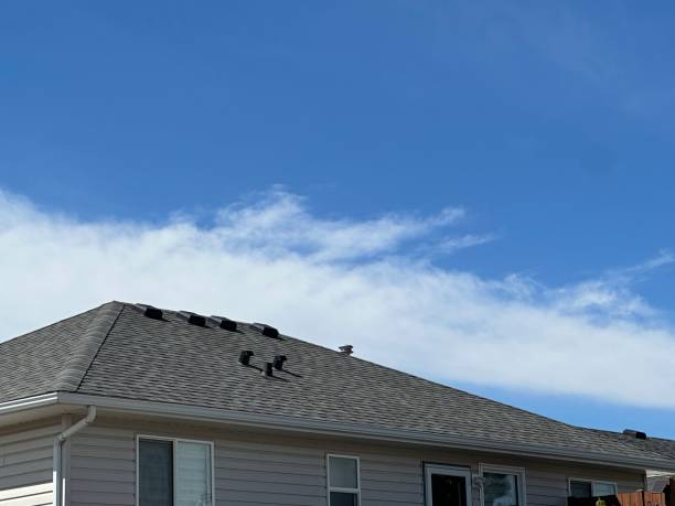 Best Gutter Replacement  in Brady, TX